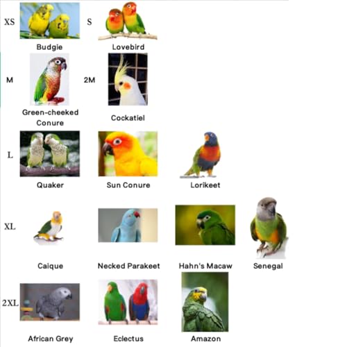 Bird Flight Harness Vest, Parrot Suit with Leash for Cockatiels Conures Budgies Lovebirds African Grey, Flying Clothes Rope and Handle Outdoor Activities Training (XX-Large)