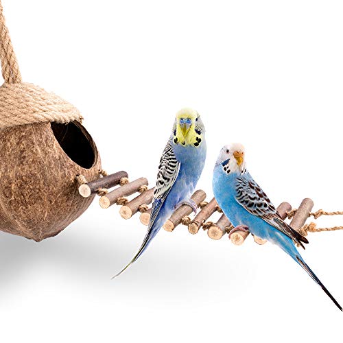 andwe Coconut Bird Nest Hut with Ladder | fits for Parrots Parakeet Conures Cockatiel Small Animals House Pet Cage Habitat