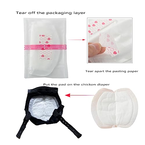 Chicken Diaper Pads - 20-Count Pack with Individual Wrapping | Maximum Absorbency & Skin-Friendly for Indoor/Outdoor Use