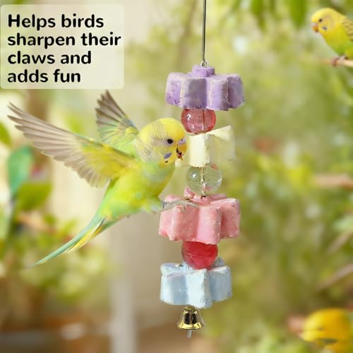 6Pieces Parrot Beak Trimmer Bird Beak Grinding Stone Teeth Lava Block Mineral Calcium Rock Chewing Toys with Bell for Parakeet Conure Budgies Rabbit Chinchilla Hamster - size: 6Pieces