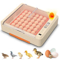 Egg Incubator with Auto Turning and Humidity Control, 36-60 Eggs Hatcher with External Drawer Water Tank, Adjustable Space for Chicken Duck Goose Quail Turkey Eggs, Orange