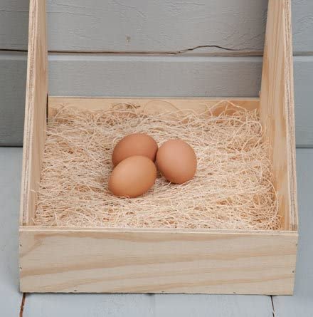 DUNCAN'S FAMILY FARM STORE Duncans Poultry 13x13 Excelsior Nest Pads Bundle of 40 - size: 40 Pack