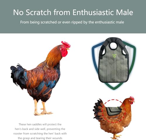 Premium Chicken Saddle with Adjustable Strap,Poultry Saver，Feather Protector for Back and Sides,Outdoor Hen Apron2 Pieces