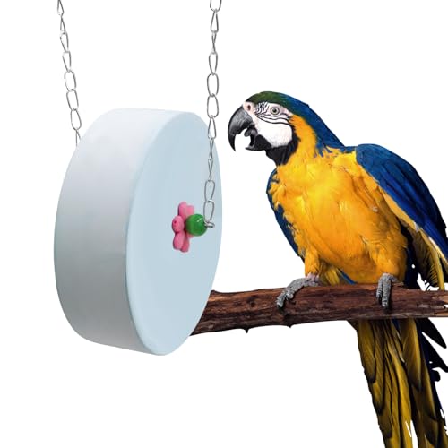 Bird Beak Grinding Stone – Large Blue Cylinder Parrot Chew Toy with Metal Hanging Chain – Cage Accessory for Macaws, African Greys, Cockatiels & Medium to Large Birds - color: blue
