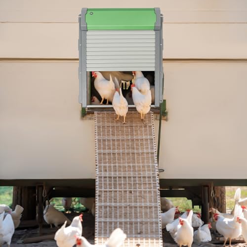 CNCEST Automatic Chicken Coop Door Solar Powered,Smart Anti-Pinch Aluminum Automatic Chicken Door with Timer and Light Sensor,Range 40M Remote Control Solar Chicken Coop Door,Waterproof