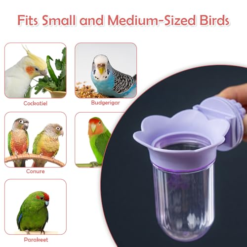 2 Pack Bird Cage Vegetable Feeder Veggies Holder with Water No Mess Hanging Feeder for Canary Finch Parakeet Budgie Cockatiel Lovebird