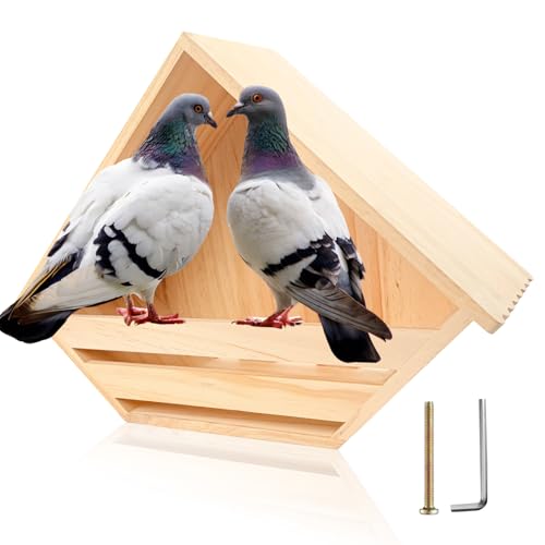 Cedar Mourning Dove Nesting Box, Wooden Dove Bird House for Outdoor | Pre-assemble 14 H x 10 W x 5.2 L Inches Bird Pigeon Doves Nesting and Roosting Platform Hanging Birdhouse Garden Decoration