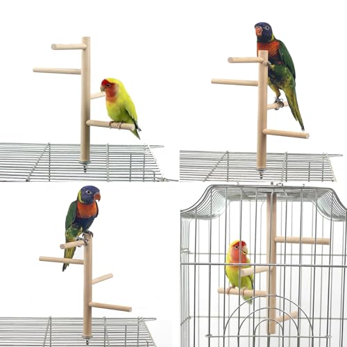 Bird Perch Stand Toy Natural Wood Parrot Perch Parakeet Cage Top Wooden Branches for Standing Toys for Small Medium Parrots Conure Budgie Lovebirds
