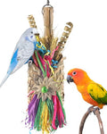 Bissap Bird Chew Toys, Parrot Foraging Shredder Natural Palm Frond Woven Bag Hanging Cage Toy with Chewing Treats for Conure Budgie Cockatiel Cockatoos and Similar Sized Pet Birds - style: Bag
