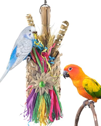 Bissap Bird Chew Toys, Parrot Foraging Shredder Natural Palm Frond Woven Bag Hanging Cage Toy with Chewing Treats for Conure Budgie Cockatiel Cockatoos and Similar Sized Pet Birds - style: Bag