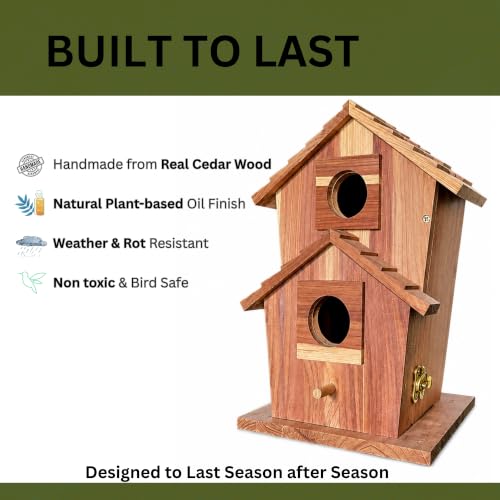 Cedar Bird House for Outside, Wooden Birdhouse for Outdoors, Bluebird House, Hanging Birdhouse with Predator Guard, Large Clean Out Door, All Natural Linseed Oil Finish