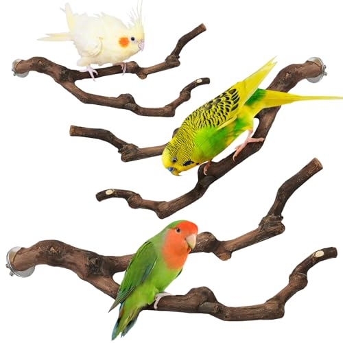 PINVNBY 3 Sizes Natural Parrot Perch Grape Wood Bird Stand Pole Parakeet Paw Grinding Fork Chewable Climbing Branches Toy Bird Cage Accessories for Budgies Conures Cockatiels Lovebirds - size: 5.9+7.9+9.8in
