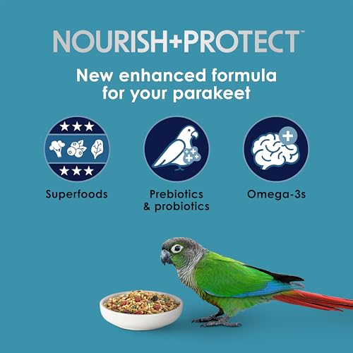 Kaytee Forti-Diet Pro Health Nourish+Protect Parakeet Food, 2 Pounds | Balanced digestion daily. Parakeet seed with superfoods. Prebiotics, probiotics, small bird food - size: 32 Ounce (Pack of 1)