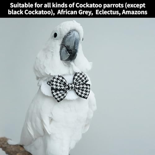 Bird Collar, Bird Clothes, Parrot Bird Supplies, Cute Collar for Medium and Large Birds Eclectus Cockatoo African Grey Amazon Bow Tie Scarf Super Cute Costume Photo Prop for Parrots (Black Bow) - style: Black Bow