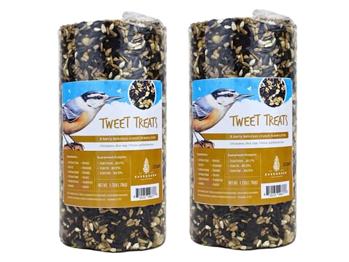 Evergreen Farm and Garden Birdseed Cylinders with Hole - Bird Seed for Outside Wild Birds (Small Cylinder, Tweet Treats 2pc) - size: 3.5 Pound (Pack of 1)
