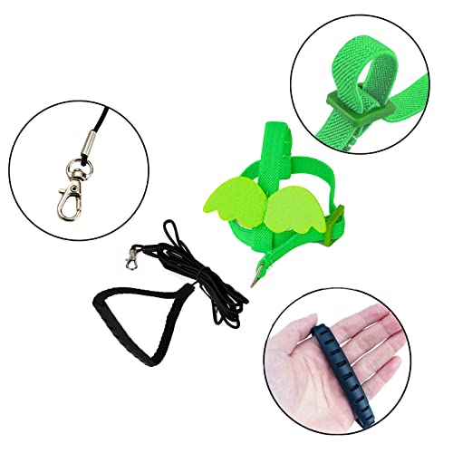 Dnoifne Pet Parrot Bird Harness and Leash, Adjustable Training Design Anti-Bite, Bird Nylon Rope with Cute Wing for Parrots, Suitable for Scarlet, Keck, Mini Macaw and Same Size Birds (Green) - color: green