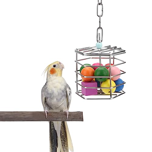 Bird Stainless Steel Foraging Feeder Parrot Hanging Feeding Box for Macaw African Grey Cockatoo Cockatiel Amazon Cage (Foraging Feeder with Blocks)