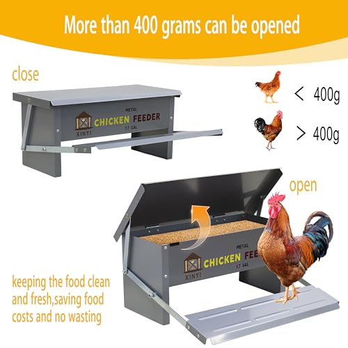 XINYI Chicken Treadle Feeder,12 Lbs Metal Treadle Feeder, No Waste & Rodent Proof Chicken Feeder with Weatherproof Lid, Suitable for Bantams, Poultry, Pheasants - 1.7Gallon Capacity - size: 1.7Gal