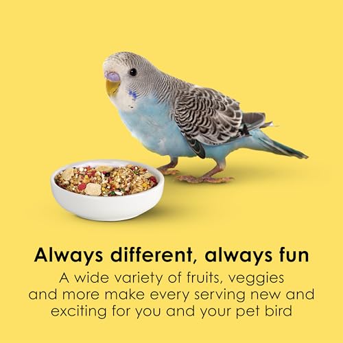 Kaytee Fiesta Parakeet Food, Nutritious and Fun Blend, Supports Skin, Feather, Digestion, Brain and Heart Health, 15 Pounds - size: 15 Pound (Pack of 1)