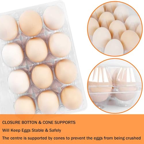 150 Pack 12 Count Plastic Egg Cartons - Bulk Cheap Clear Reusable Egg Containers for Chicken Eggs, Dozen Egg Storage Solutions. (150) - size: 3x4，150Pack