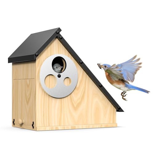 Bird House - Adjustable Entrance Fit All Birds, Outdoor Bird Houses for Outside Weatherproof, Durable Wood Birdhouse for Bluebird, Finche, Wren, Chickadee, an Ideal Backyard Decoration (Iron Roof)