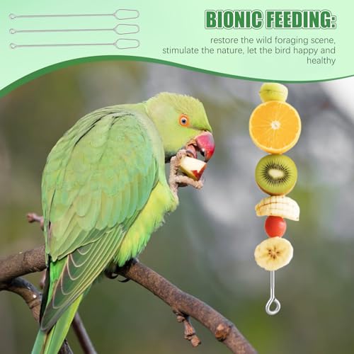 3 Pcs Fruit Vegetable Bird Cage Feeder, Toys for Parakeets, Cockatiels, Conures and Small Animals, Bird Cage Accessories with Stainless Steel