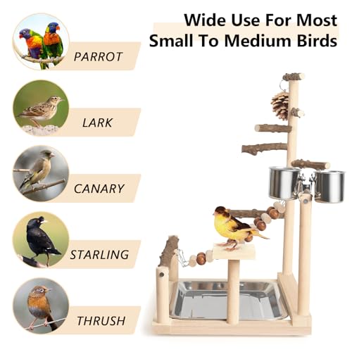 Wood Pet Parrot Playground Bird Play Stand Toys Perch with Feeder Cups for Cockatiel Parakeet Lovebirds Conure (Natural) - color: Natural