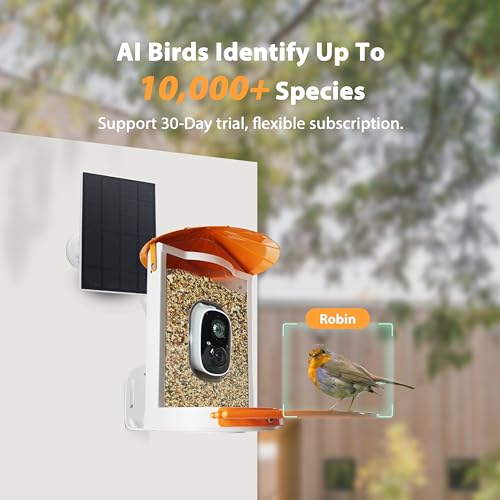Smart Bird Feeder with Camera Solar, Auto Capture Bird Videos & Motion Detection, Birds Watching Camera Notify in Time, Metal Birds Feeder with Seed Guard, Ideal Present for Mom (Orange) - color: Orange