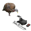 Avian-X LCD Feeder Hen Turkey Decoy with X-Factor Motion System – Realistic Lifelike Collapsible Standing Turkey, Durable Design, Carry Bag & Collapsible Stake for Hunting - style: LCD Feeder Hen