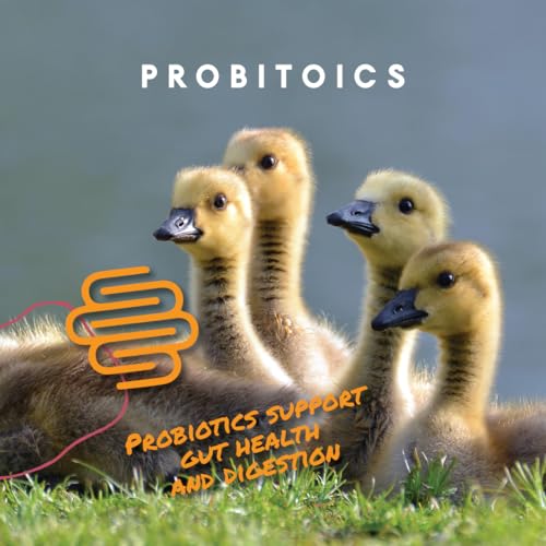 Manna Pro Duck Starter Grower Crumble with Probiotics, 8 lb Bag | Complete Duckling Feed, Added Probiotics, Supports Healthy Growth & Digestion, For Ducks & Young Geese - size: 8 Pound (Pack of 1)