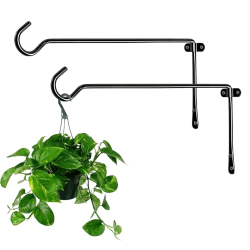 2 Pack Metal Plant Hanger for Wall, Decorative Plant Hooks for Hanging Plants, Indoor Outdoor Wall Plant Holder for Hanging Planters, Bird Feeders Home Decor (Black, 13.3 in-Straight Hook) - color: Black, size: 13.3 IN-Straight Hook