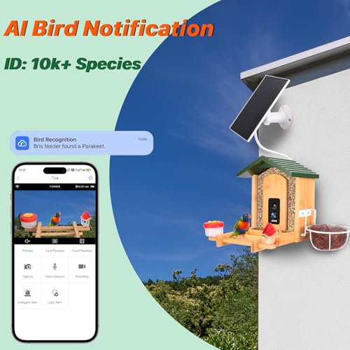 Smart Bird Feeder with Camera Solar Powered, 4K UHD Video Live Stream 8MP Photos, AI Bird Species Identification, Instant Arrival Alerts, Weatherproof Bamboo Design, Best Gift for Bird Lovers