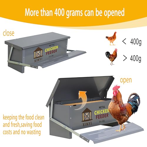 XINYI Chicken Treadle Feeder,25 Lbs Metal Treadle Feeder, No Waste & Rodent Proof Chicken Feeder with Weatherproof Lid, Suitable for Bantams, Poultry, Pheasants - 3.4Gallon Capacity - size: 3.4Gal