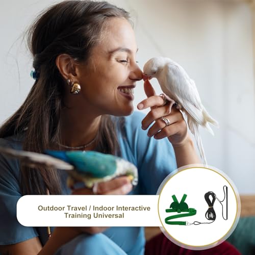 Bird Harness Leash, Adjustable Pet Parrot Bird Harness and Leash Lightweight Anti-Bite Flight Training Rope with Cute Wing, (Green, M), Intended for Parrots/Pigeons/Budgies - color: Green, size: Medium