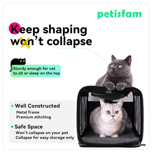 Soft Pet Carrier Bag for Cats and Puppy Under 20 lbs. Sturdy, Safe, Comfortable and Lightweight | Top Opening, Quik-in. Zip-to-Lock. Stress-Free Vet Visits. Cats Can't Resist. Easy Storage, Cleaning. Lightweight. Breathable - color: Grey