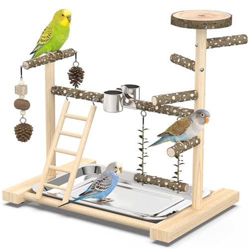 Bird Playground，Natural Wood Bird Perch Stand Parakeet Playground with Swing, Ladder & Feeder Cups，Birds Play Stand for Cockatiel Parakeet Lovebirds Conure - size: 1 layer T2