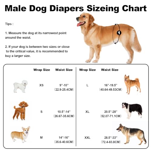 Washable Male Dog Diapers Reusable, Premium Belly Bands for Male Dogs, Pack of 3, High Absorbing Extra Small Male Dog Pee Wraps for Doggie in Incontinence or Excitable Urination and Training(XS) - size: X-Small