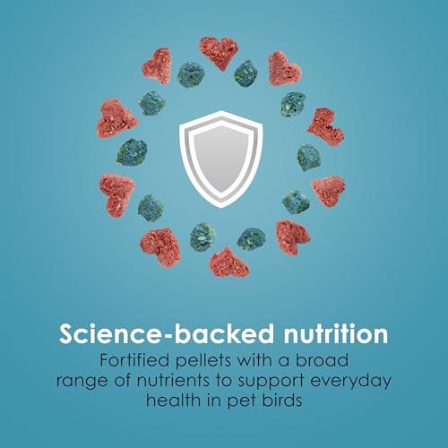 Kaytee Forti-Diet Pro Health Nourish+Protect Parakeet Food, 2 Pounds | Balanced digestion daily. Parakeet seed with superfoods. Prebiotics, probiotics, small bird food - size: 32 Ounce (Pack of 1)