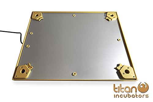 Titan Chick Heating Plate/Brooder Hen Heat Lamp Replacement - Up to 25 Chicks 12" x 12" - 20W