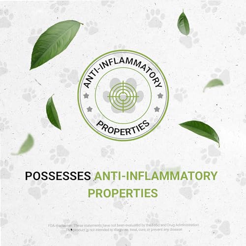 Birds Immunity | Natural Herbal Dietary Pet Supplement for Birds | Immune Support | Alcohol-Free Extract, Elder Flowers, Calendula, Dandelion Root, Rosemary, Fennel 2 oz - style: Immunity