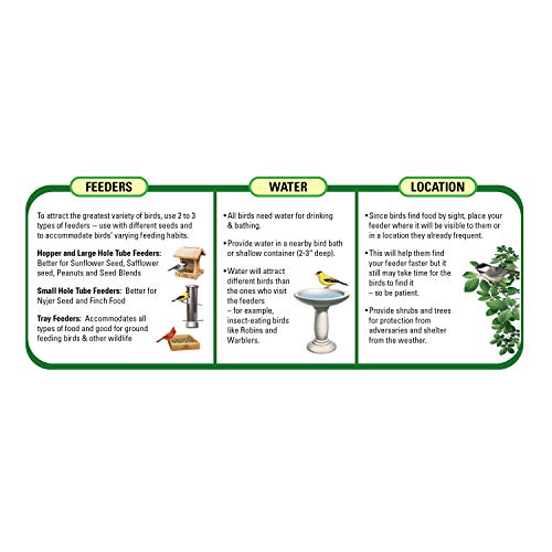 Wagner's 58005 Mealworms Wild Bird Food, 18-Ounce Bag (Pack of 2) - size: 18 Ounce (Pack of 2)