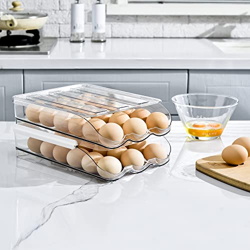 Sooyee 2 Layer Ramp Type Auto Rolling Egg Holder Storage Container for Refrigerator Organizer,Large Egg Container Bin,Clear - size: 2 Layer