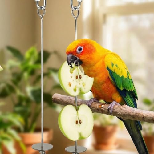 4 PCS Bird Cage Food Holders Stainless Steel Stick Feeder Parrot Fruit Vegetable Skewer Hanging Small Animal Hanging Foraging Accessories for Bird Parakeet Cockatoo Cockatiel