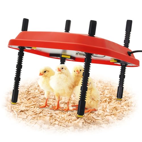 Chick Brooder Heating Plate Adjustable Height and Angle Plate Temperature Display for up to 20 Chicks 50W Chicken Coop Accessories Poultry Heating for Small Chicks,Ducks,Quails