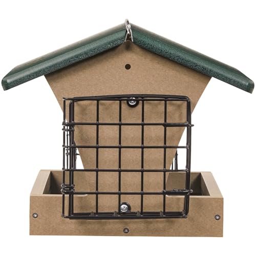 Birds Choice SN200-S Two-Sided Hopper Feeder, Recycled Bird Feeder w/Two Suet Cages, Medium, Taupe/Green | Two-Sided Recycled Plastic Feeder, Serves Seed and Suet Together, Weather-Resistant for Year-Round Feeding - style: Taupe/Green w/ Suet Cages