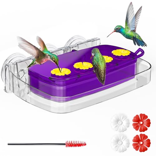Window Hummingbird Feeder with Strong Suction Cup, Plastic Hummingbird Feeders for Outdoors, Built-in Moat,Easy to Clean and Refil (10oz) (1, Purple) - color: Purple, size: 1 Pack