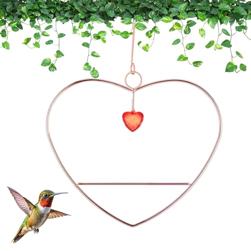 LemonRoad Hummingbird Swing, Tweet Heart Birdie Swing, Copper Hummingbird Perch Metal Frame for Wild Finches & Orioles Bird Outdoors Indoor Trunk Lawn Patio Garden (Copper) - color: Copper