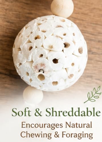 Shred and Destroy Bird Toy for Small Birds - Budgies, Lovebirds - Natural Sola Ball Hanging Chew Toy - 2 Pack - Boredom Buster Cage Toy