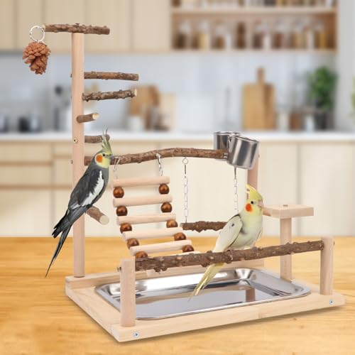 Wontee Bird Playground Wooden Bird Perch Stand Ladder Swing with Removable Tray & Feeding Cups for Budgies Parakeets Caique Senegal Cockatiels Conures