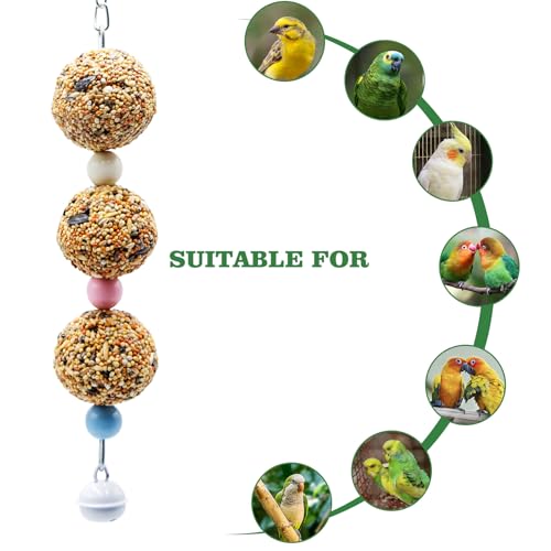 Bird Toys, 2 Pack Chew Toy with 3 Natural Cereal Foraging Balls for Cage, Parakeet Toys, Chew Toy Ball for Budgies, Cockatiels, Lovebirds, Green Cheeks, Small to Medium Birds